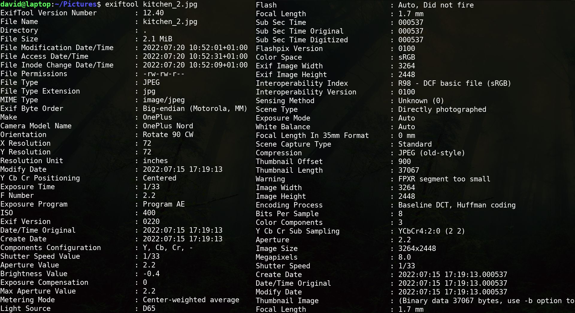 Вывод exiftool с подробными метаданными файла