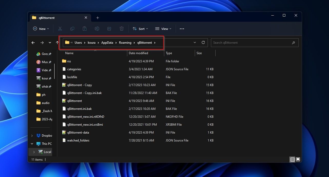 Путь AppData Roaming qBittorrent