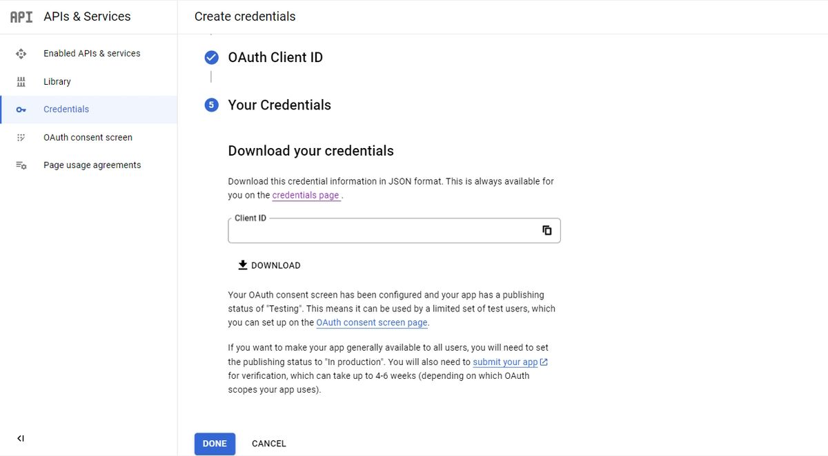 Экран с готовыми учётными данными в консоли Google.