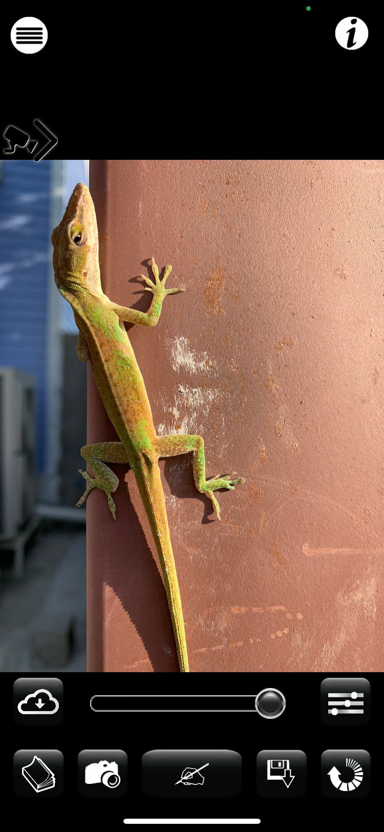 Главный экран приложения Camera Lucida