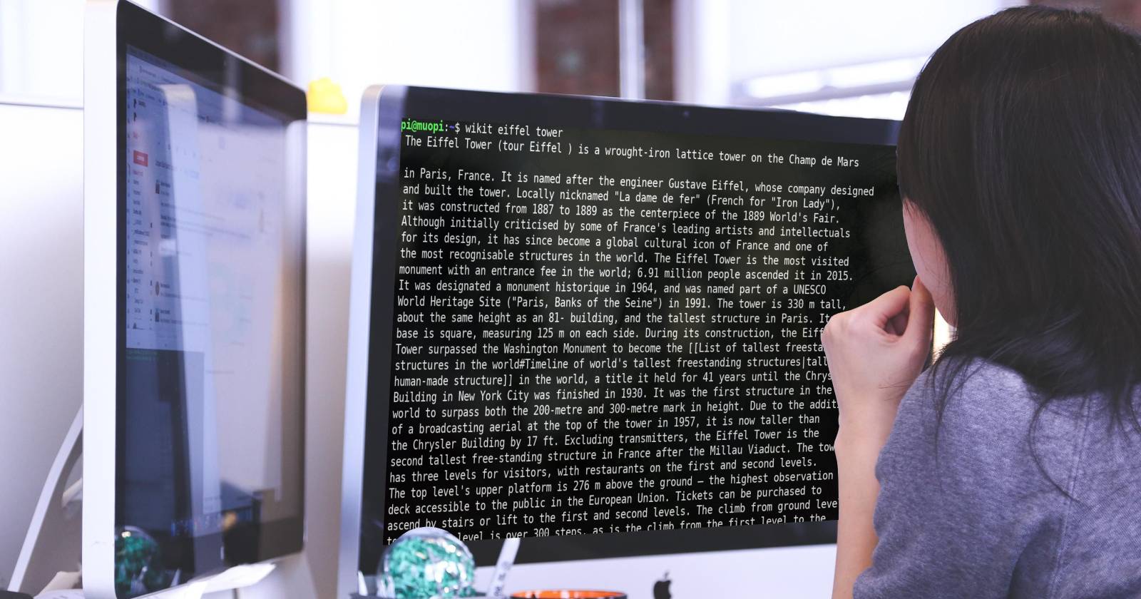 Миниатюра интерфейса wikit, показано окно терминала с резюме статьи