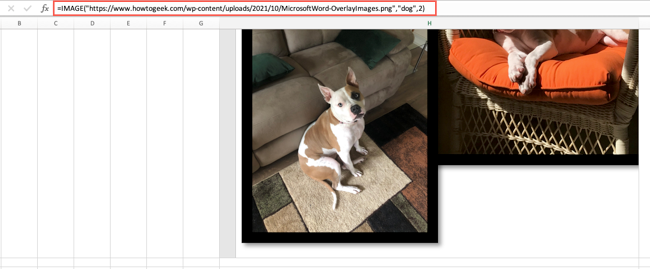 Функция IMAGE с alt текстом и опцией sizing 2