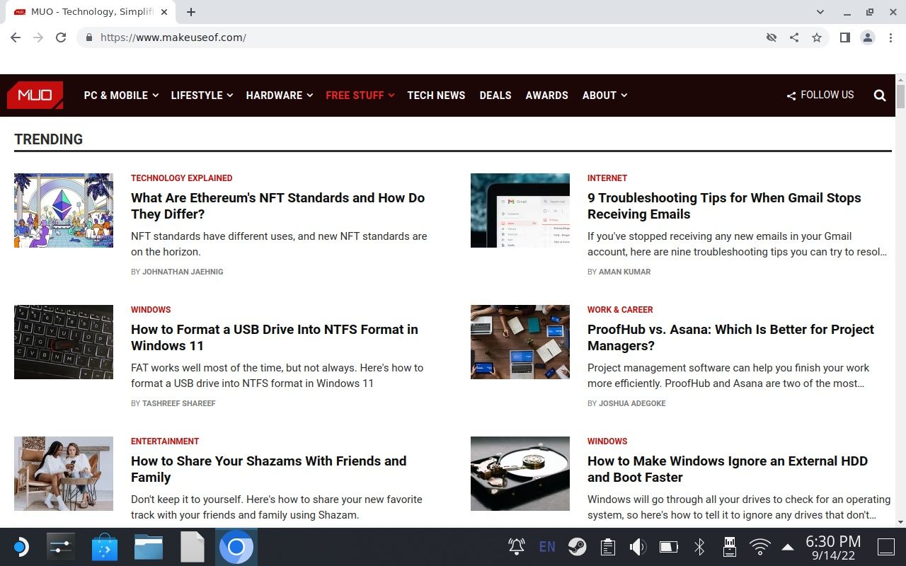 Browser running on SteamOS