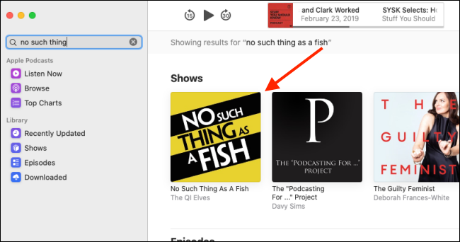 Выбор шоу из результатов поиска