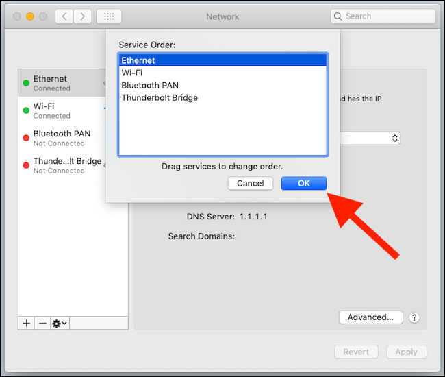 imageedit_1_8081393916