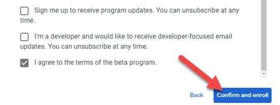 Примите условия и нажмите «Confirm and Enroll».