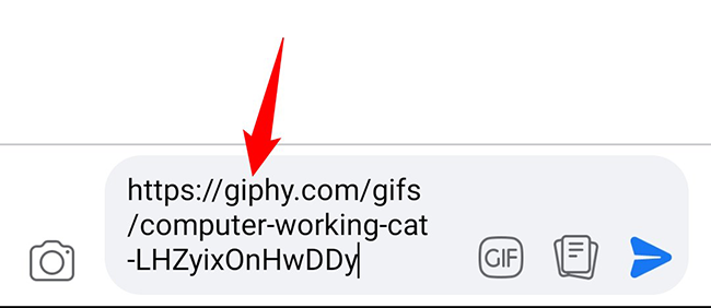 Вставьте URL GIF в комментарий и опубликуйте.