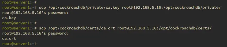 Копирование CA-сертификата и ключа на второй сервер
