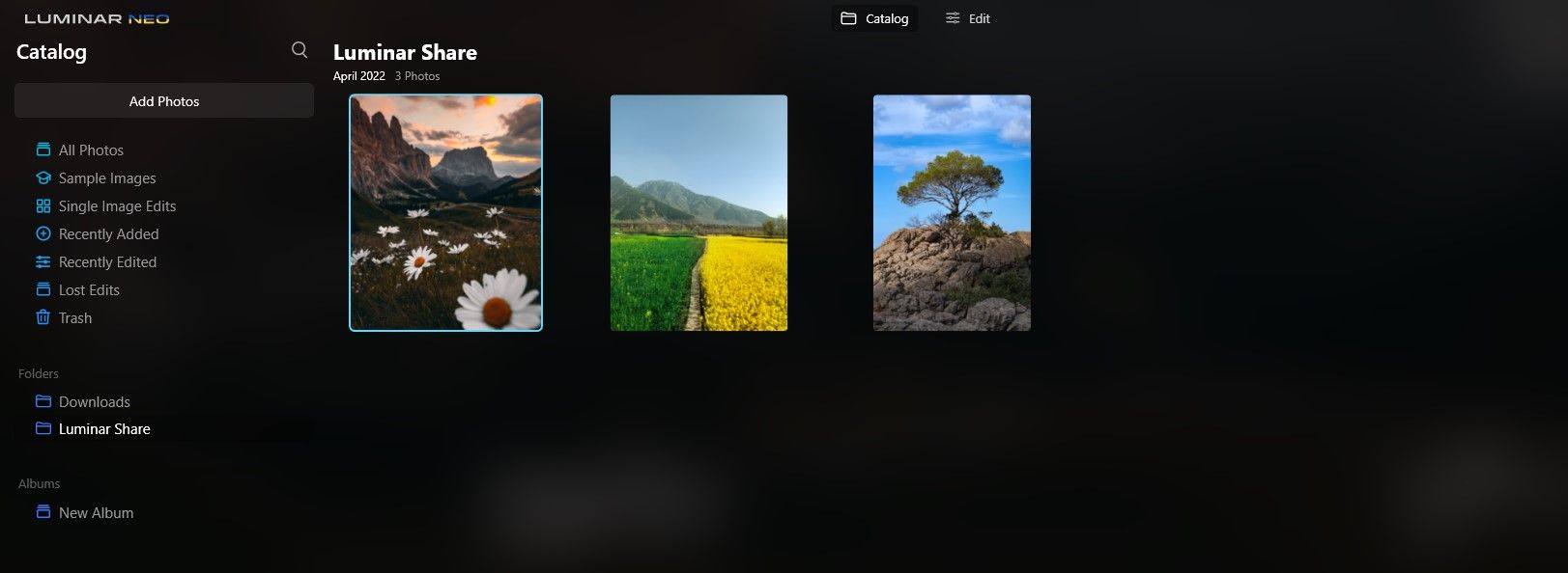 Папка Luminar Share в Luminar Neo с загруженными изображениями