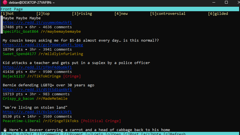 Navegando no Reddit via terminal.