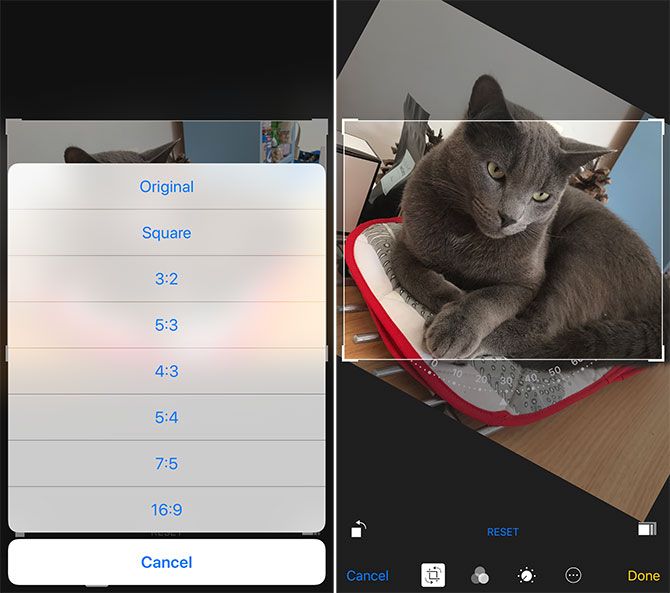 iphone photo editing - Crop and Rotate