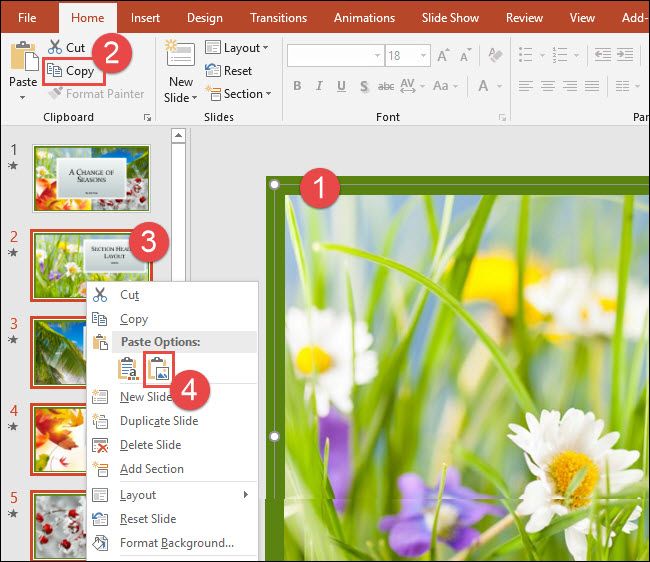 Вставка скопированной рамки на другой слайд