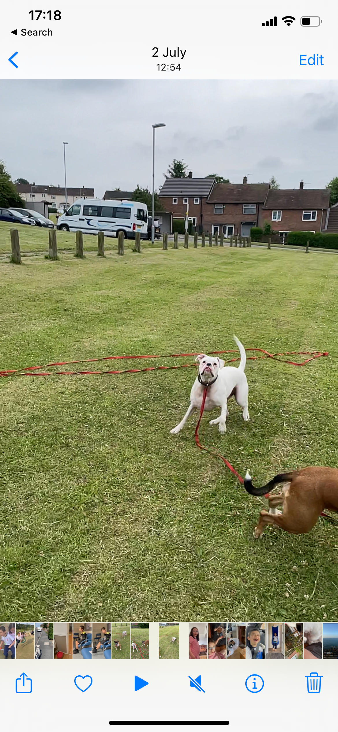 Screenshot of a slow-mo video on iPhone iOS 15 showing 2 boxer dogs on a field