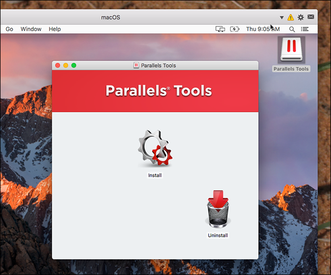 Процесс установки Parallels Tools в macOS