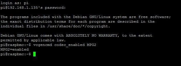 Пример вывода команды vcgencmd codec_enabled MPG2 с ответом, что кодек включён