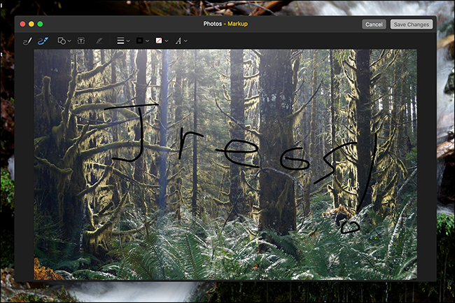 Пример редактирования с помощью Markup: стрелки и подписи
