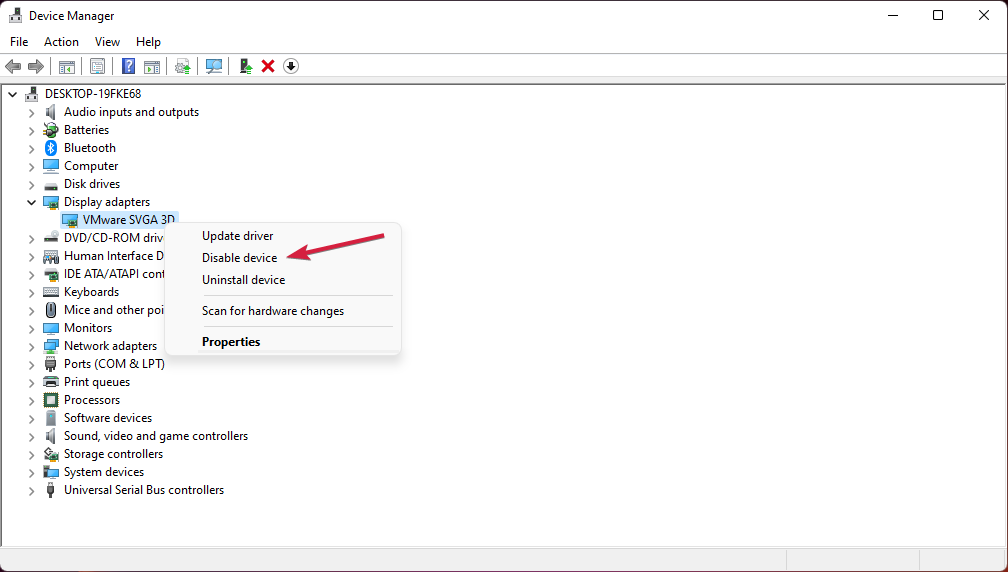 Раздел Display adapters в Диспетчере устройств