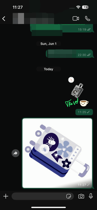 Разные способы отправки смешанных эмодзи в разговоре WhatsApp на iPhone