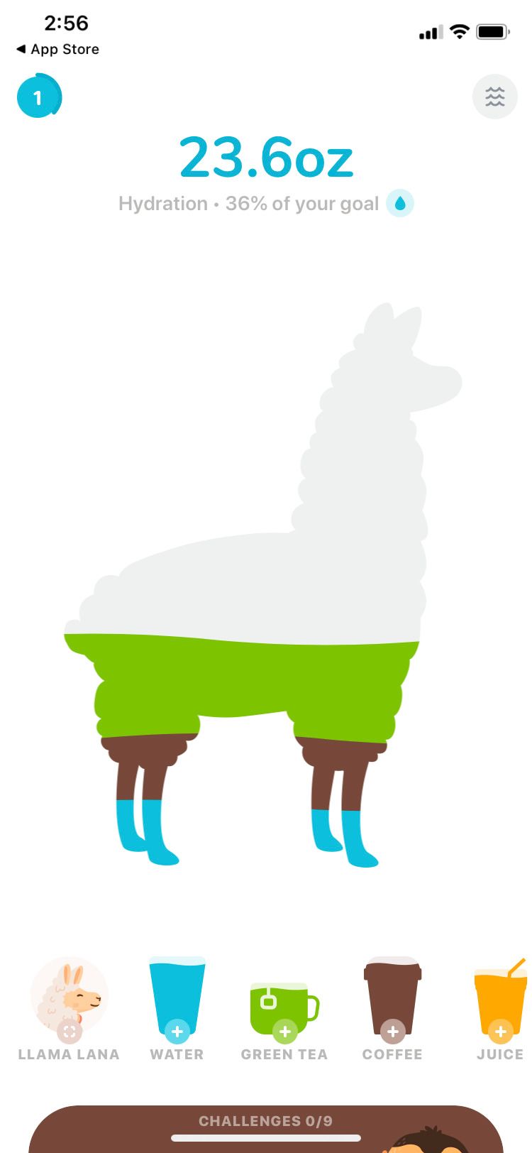 Waterllama: выбор напитков