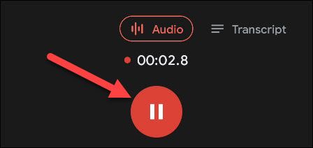 pause recording