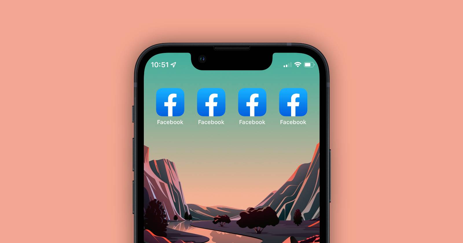 Дубликаты иконок Facebook на домашнем экране iPhone