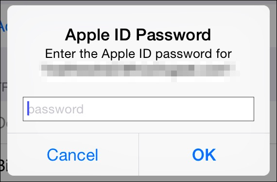 Экран: ввод пароля Apple ID для подтверждения