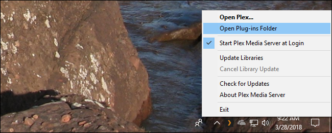 Контекстное меню Plex server