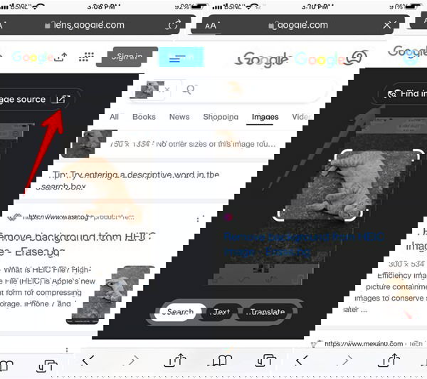 Результаты поиска по загруженному фото