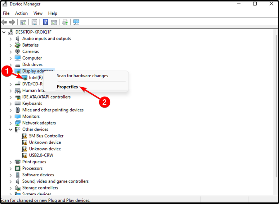 Список адаптеров дисплея