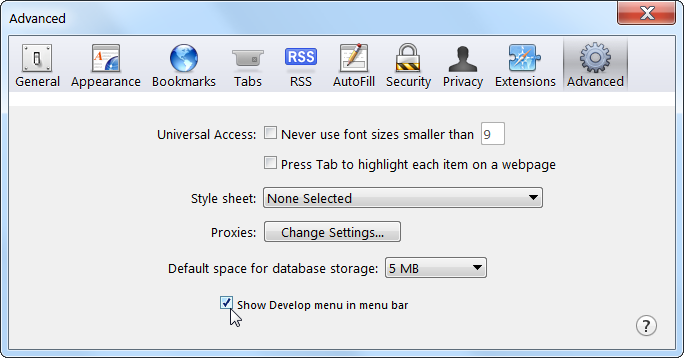 Параметры разработчика в Safari