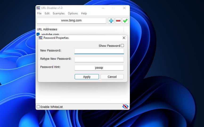 Окно свойств пароля URL Disabler