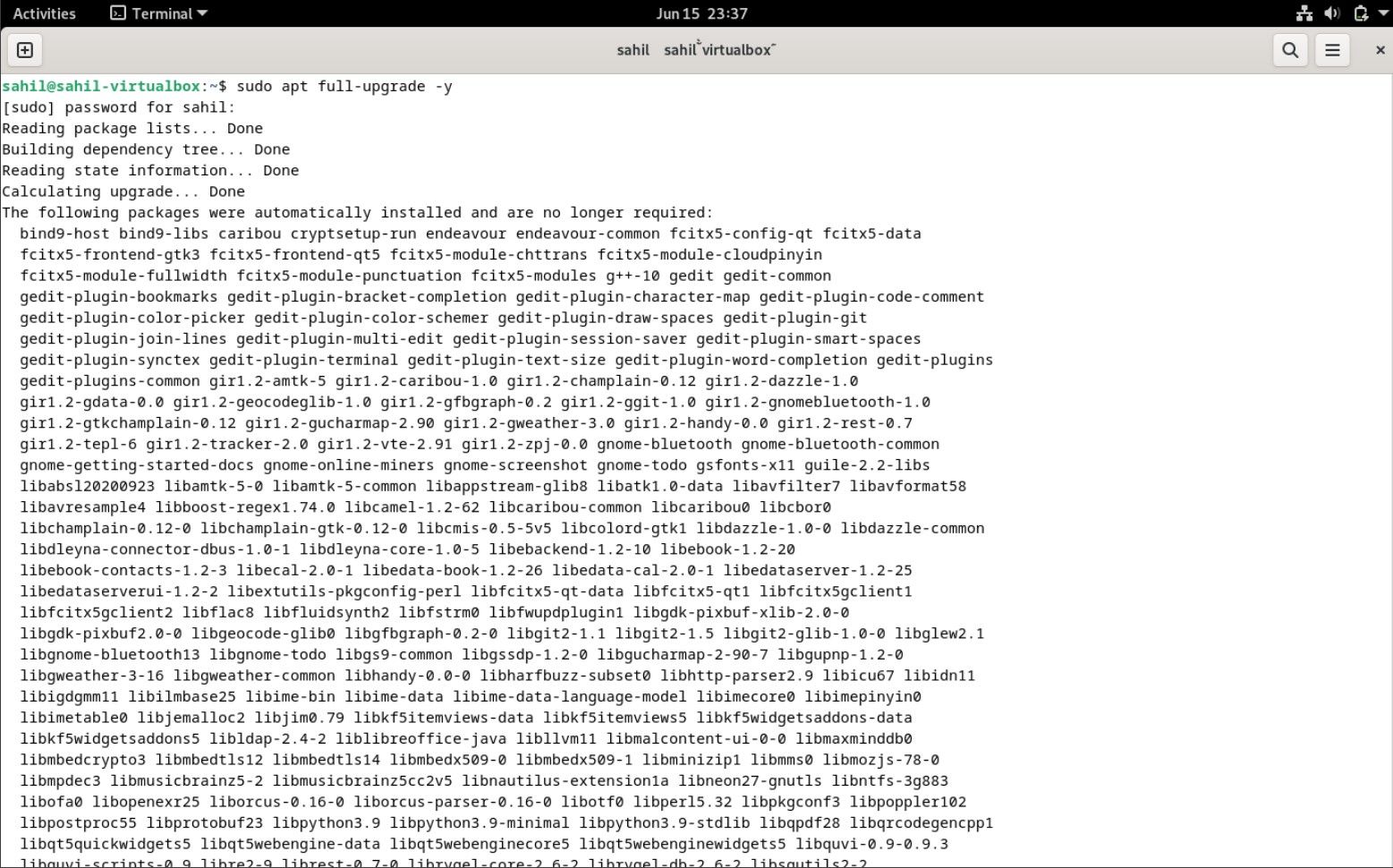 Терминал Debian при полной процедуре обновления