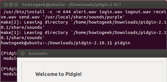 Скриншот: установленная программа запущена из терминала