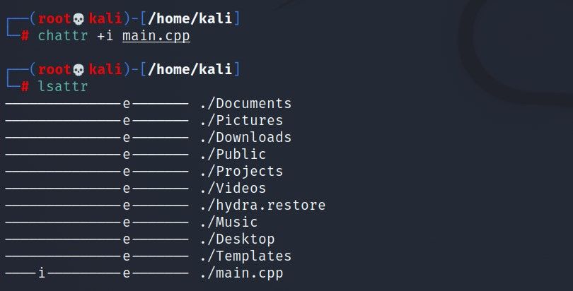 пример использования chattr +i для файла main.cpp