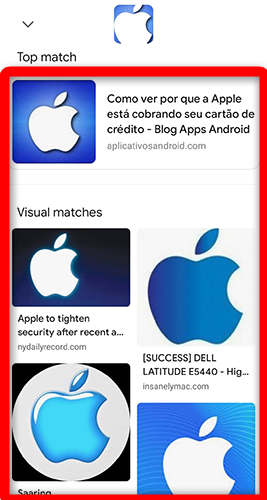 Результаты обратного поиска изображения в Google Chrome через Lens