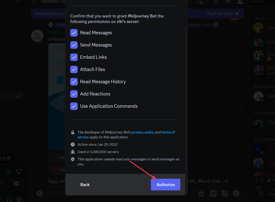 Кнопка Authorize в процессе пригласа бота