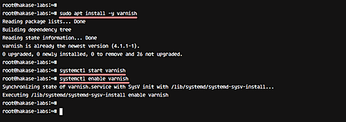 Установка Varnish
