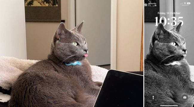 Экран блокировки iOS 16 с эффектом глубины (портрет)