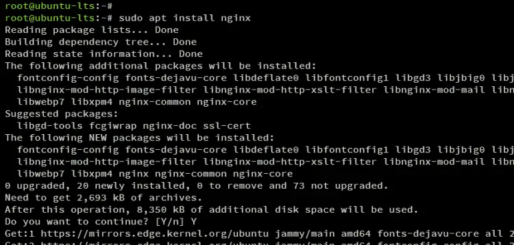 Установка Nginx на Ubuntu