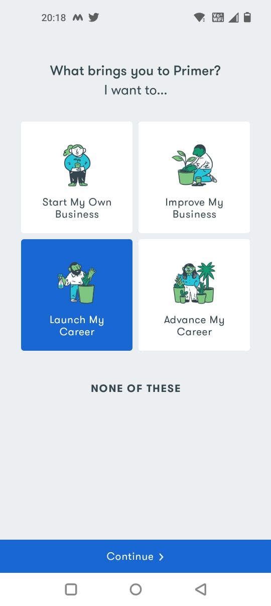 Выбор цели в Google Primer