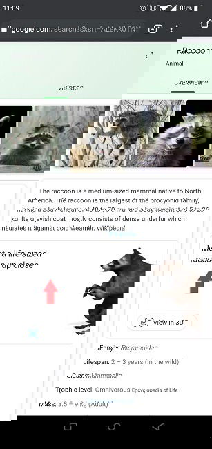 Пример карточки поиска животного в Google с кнопкой просмотра в 3D