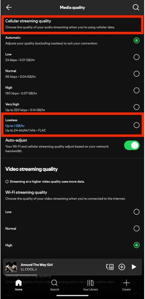 Lossless Audio in Spotify