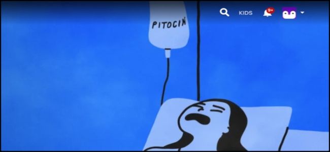 Иконка поиска Netflix, выделена