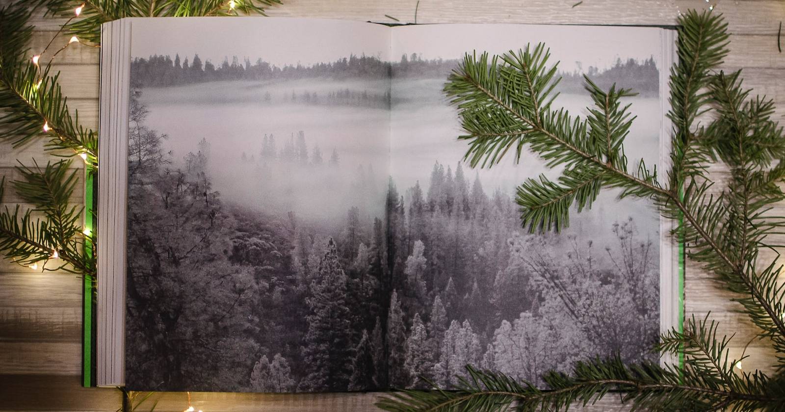 photo book surrounded by fairy lights and pine branches featured image