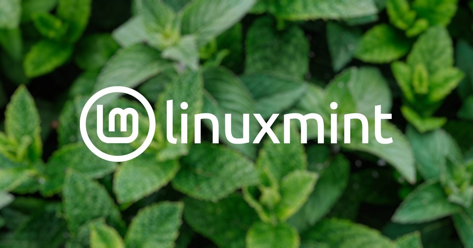 Логотип Linux Mint на светлом фоне, размытые листья мяты на заднем плане.