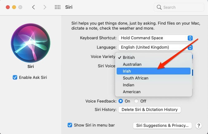 Mac Voice Variety Siri