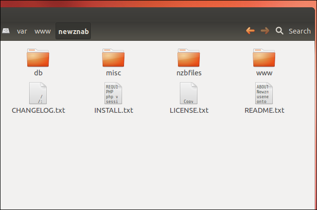 Файлы NewzNab в директории /var/www/newznab