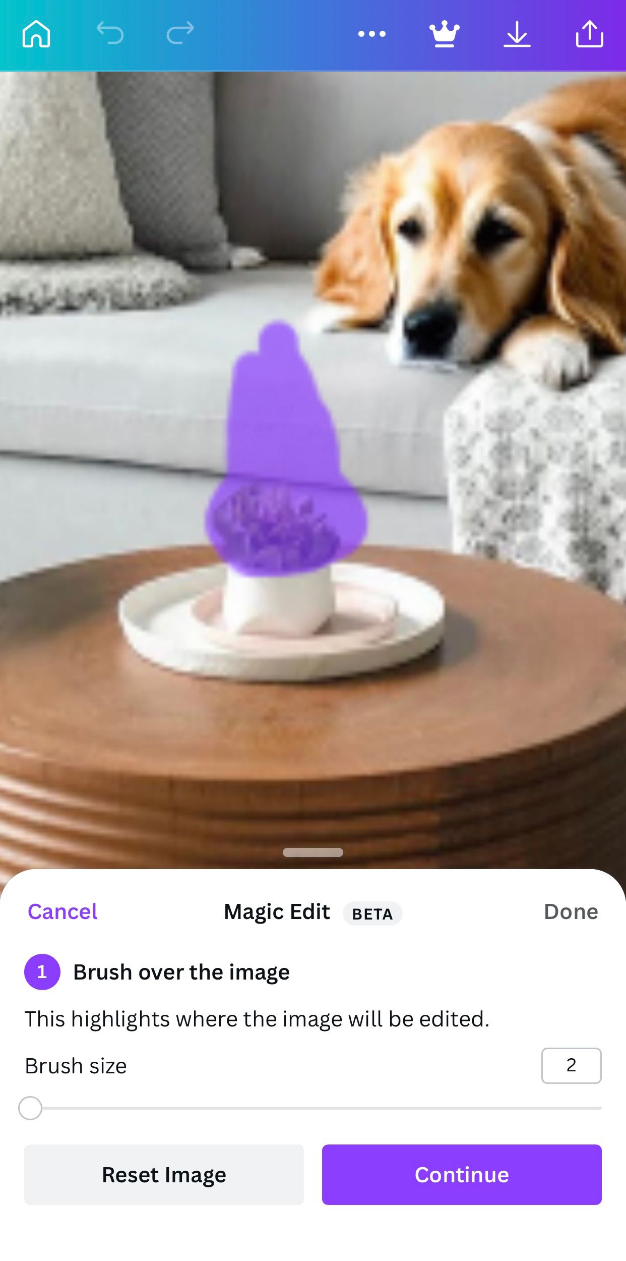 Ретривер лежит на диване и смотрит на растение, выделенное фиолетовым для редактирования