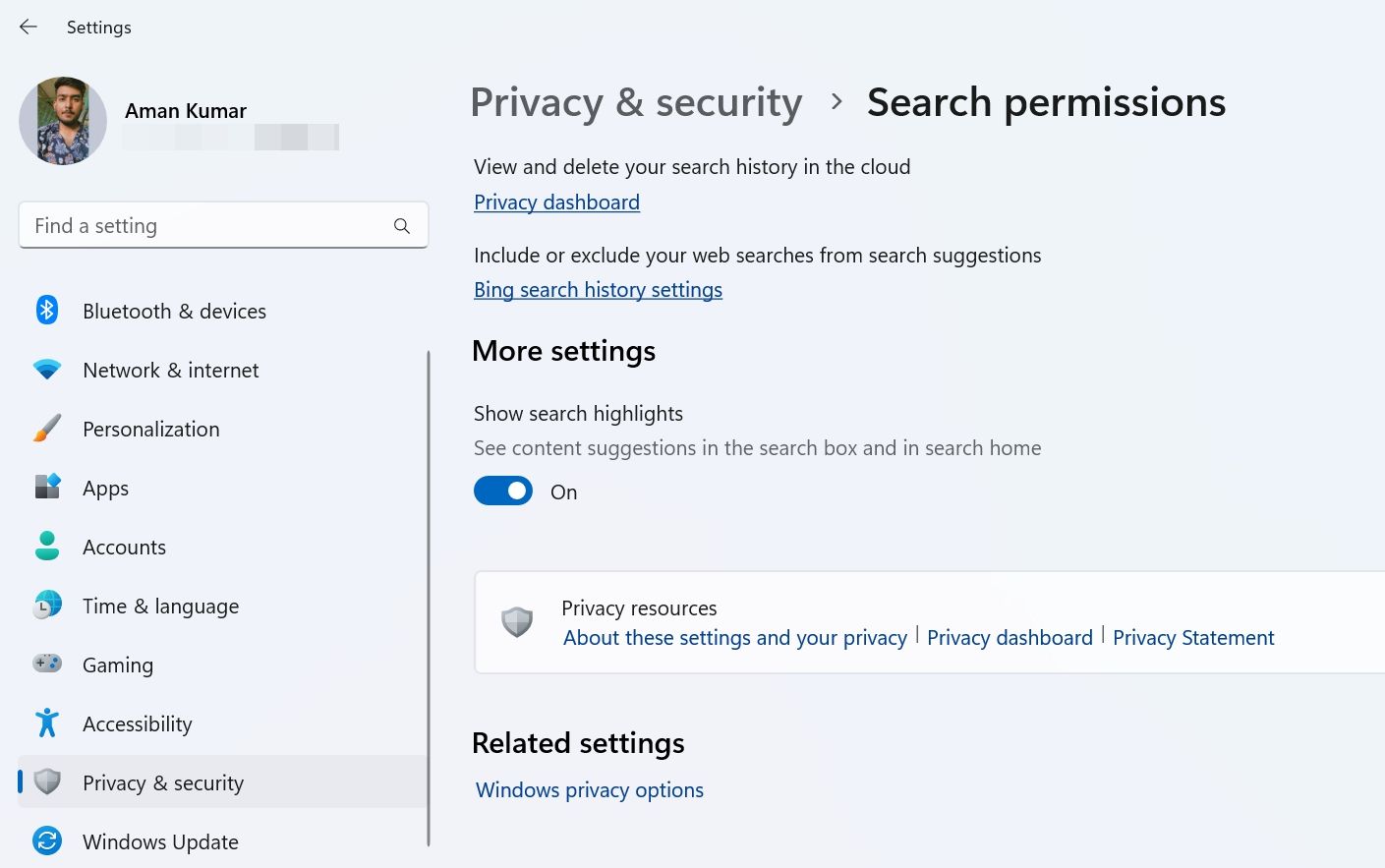 Параметр Show search highlights в Параметрах Windows
