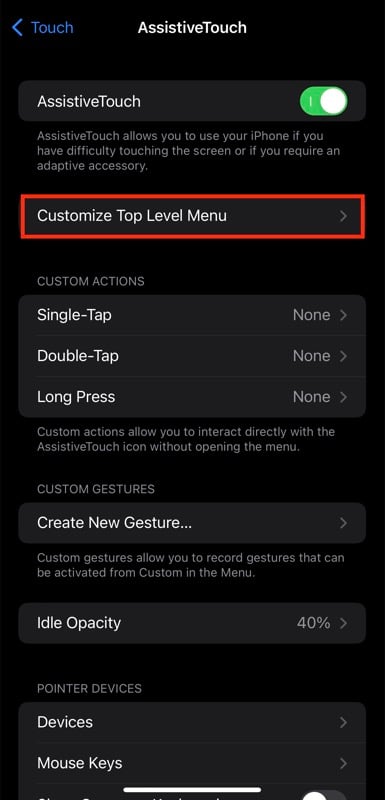 пункт меню Customize Top Level Menu в настройках iPhone